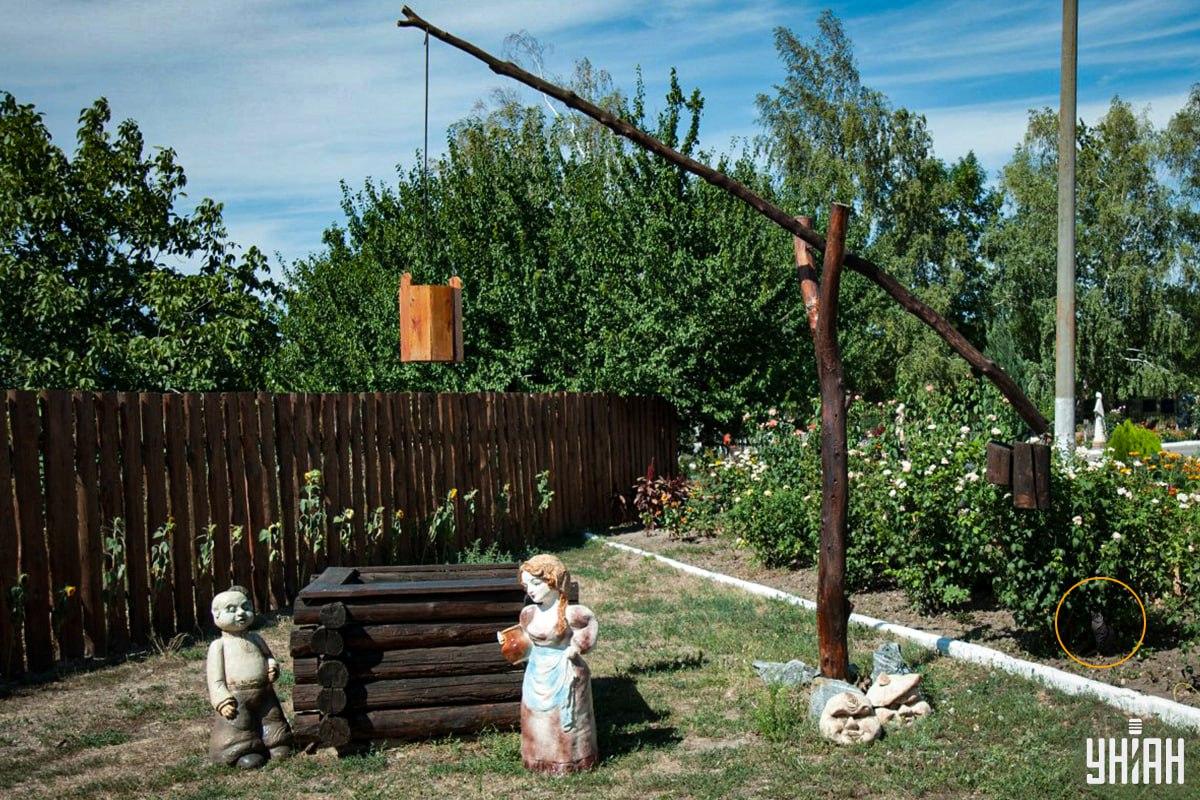 A macska a virágágyásban volt / Moje kollázs