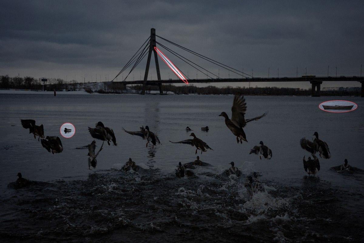 Találj meg 3 különbséget a kacsás fotón 10 másodperc alatt: elképesztő rejtvény