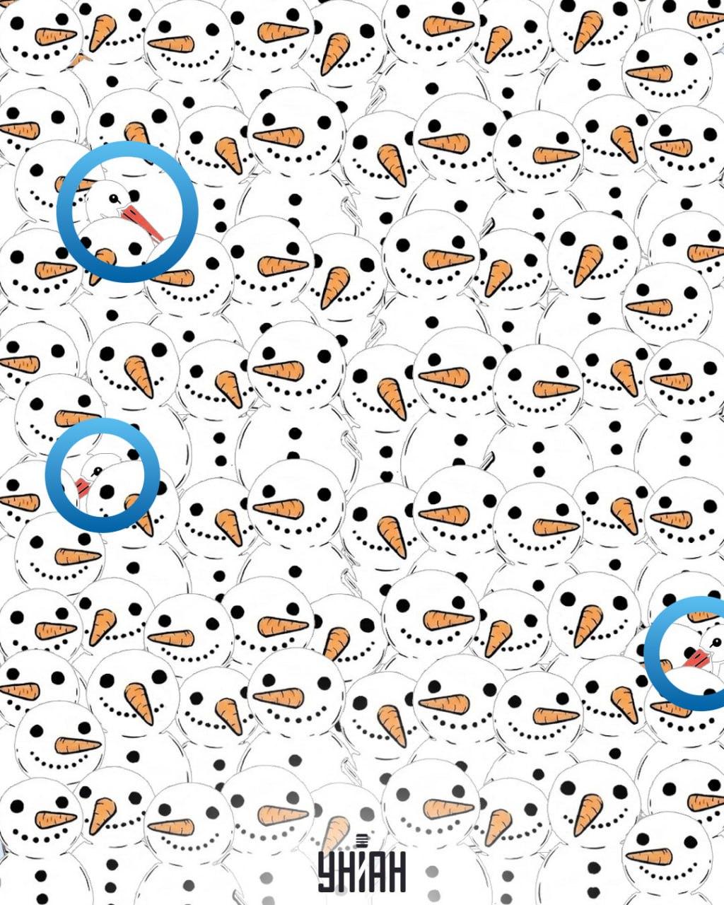 Keress 3 gólyát a hóemberek között 11 másodperc alatt: egy elképesztő optikai csalódás