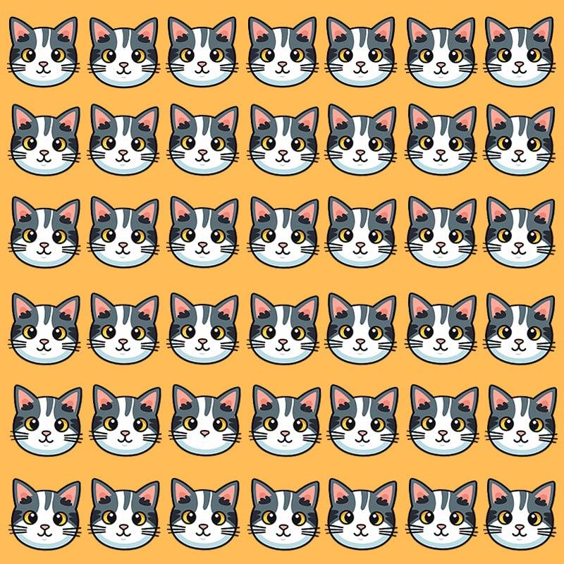 Ez az optikai csalódás csak grandiózus IQ-val rendelkező embereknek lehetséges / Moje image