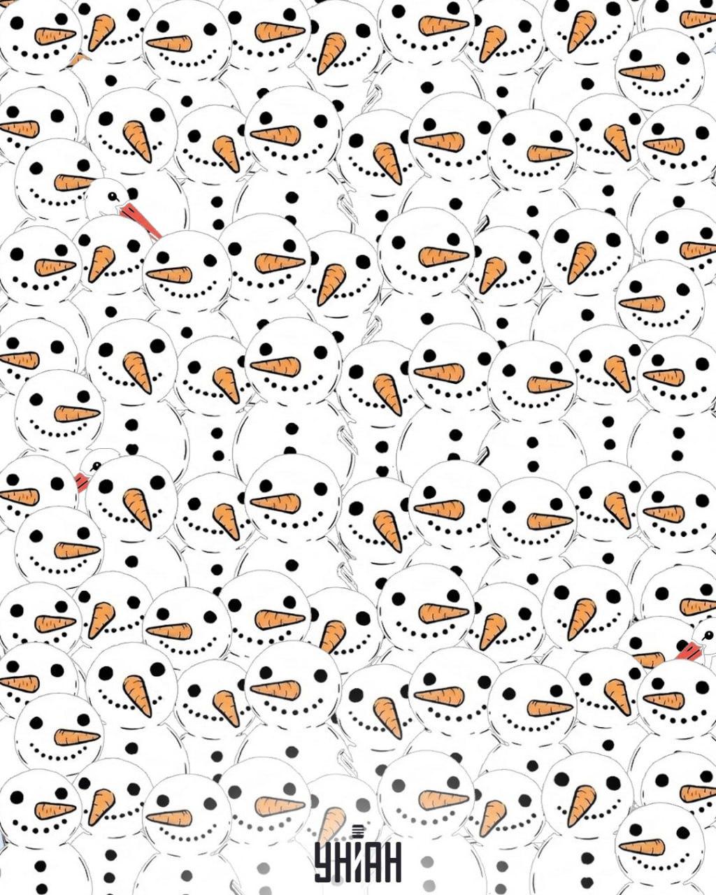 Keress 3 gólyát hóemberek között 11 másodperc alatt: elképesztő optikai csalódás