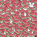 Kihívást jelentő IQ-teszt zseniknek: találj öt mag nélküli görögdinnyét 15