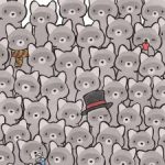 Rejtvény igazi zseniknek: találd meg a macskát a mosómedvék között